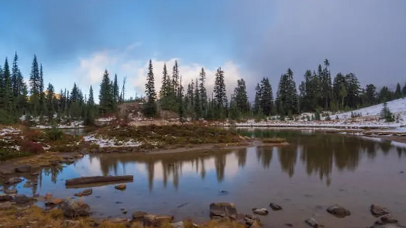 Brasilien erweitert Pix-Bezahlung nach Argentinien: Chancen und Risiken für Schweizer Finanzdienstleister