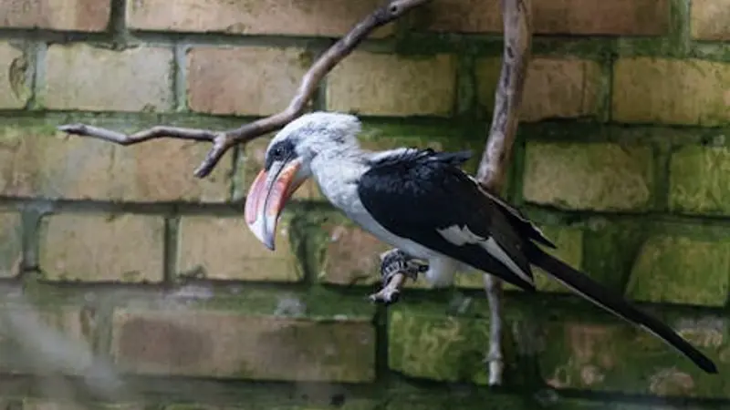 Der KI-Überwachungsstaat kommt: Warum Schweizer Anleger jetzt aufhorchen müssen