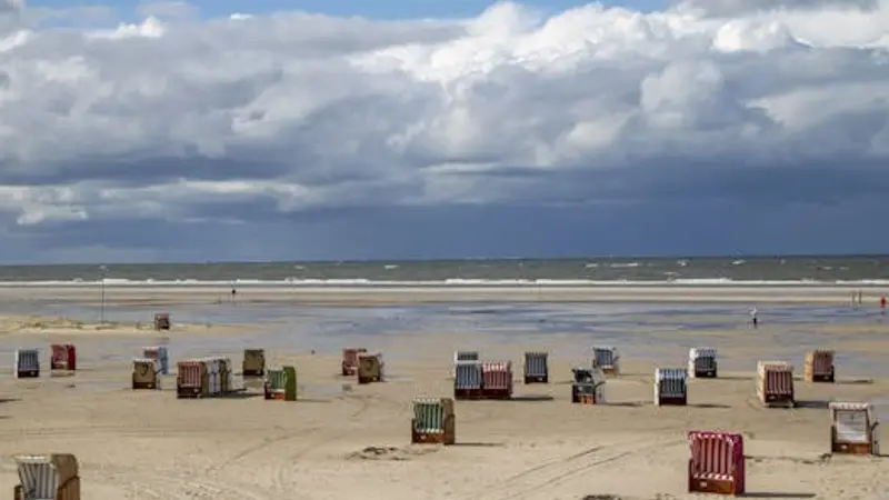 Tech-Sell-Off und KI: Auswirkungen auf Schweizer Finanzdienstleister