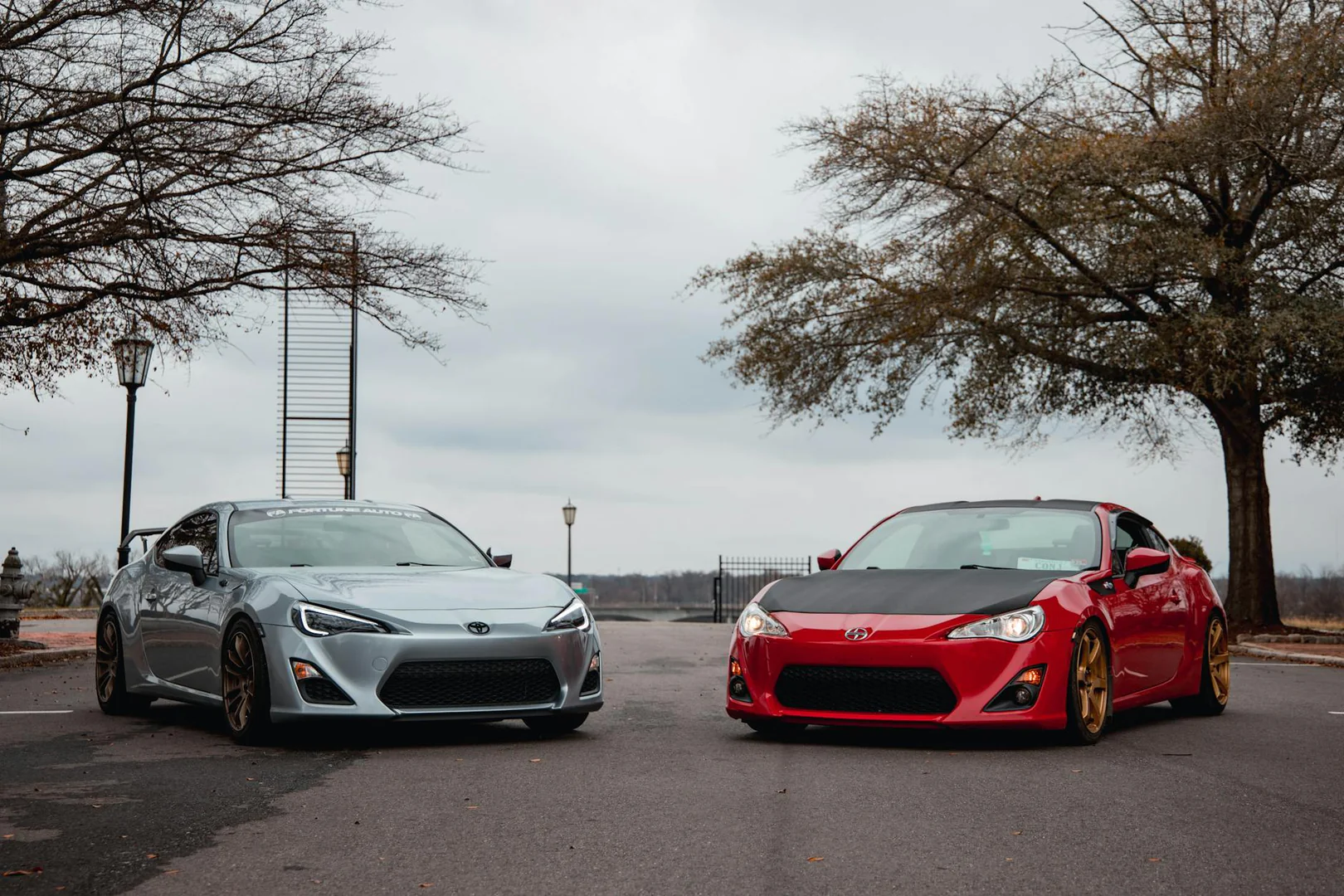 Tuning for Two Adversaries: Enhancing the Robustness Against Transfer and Query-Based Attacks using Hyperparameter Tuning